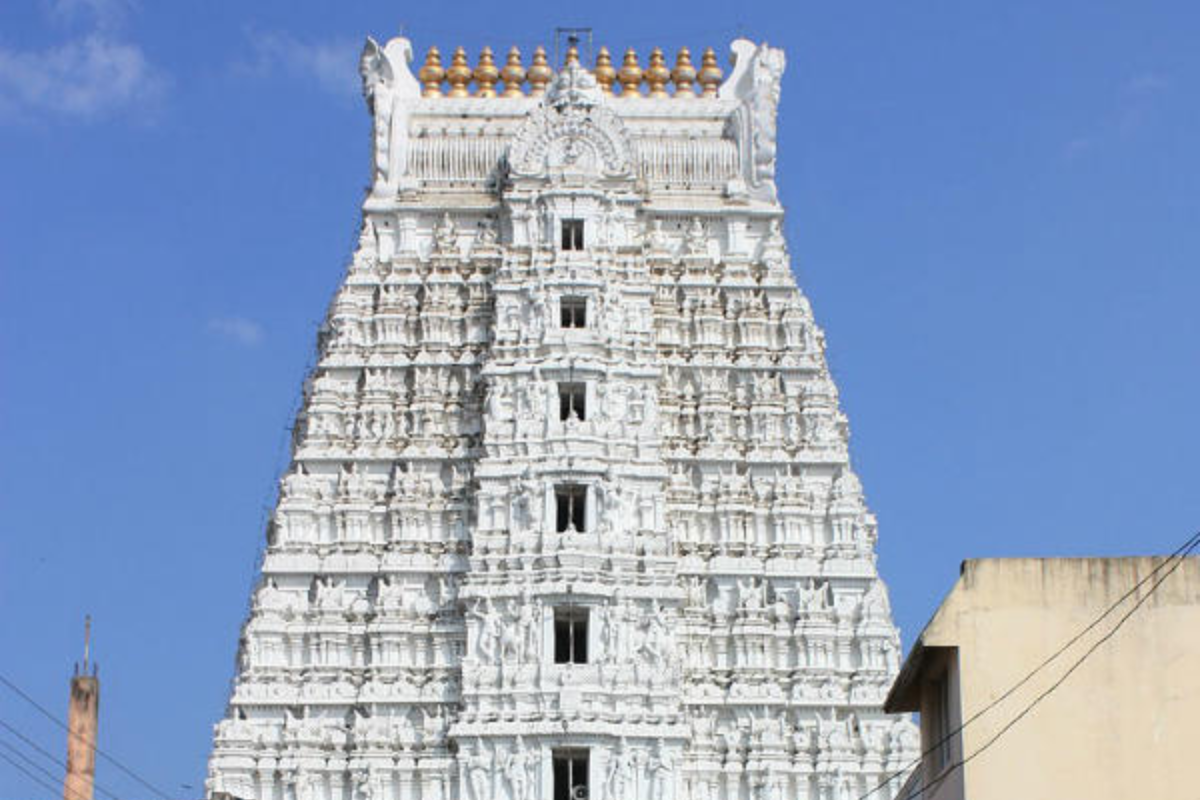 govindaraja swamy temple timings